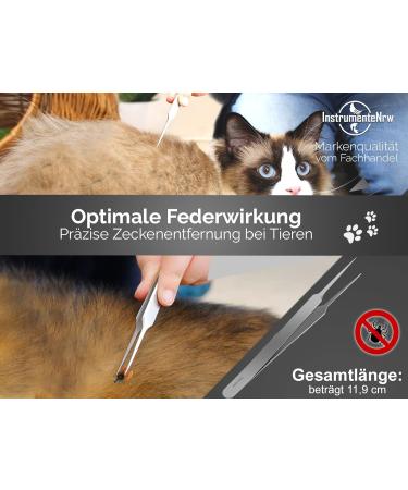 Professional Tick Tweezers - Efficient Tick Remover & Gripper (11.9 cm) for Safe & Easy Removal | International Shipping Available - Buy Online on GoSupps.com