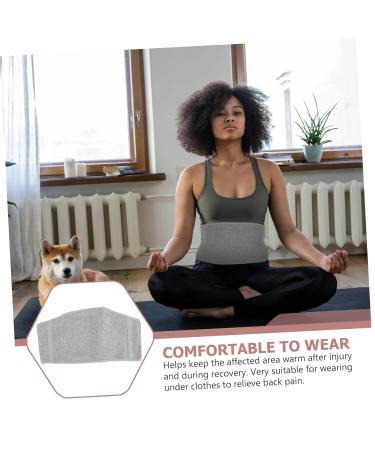 FRCOLOR 2 Pcs Charcoal Waist Support Lumbar Belt | Comfortable Cotton Waist Protector & Support Brace for Optimal Back Pain Relief - Buy Online on GoSupps.com