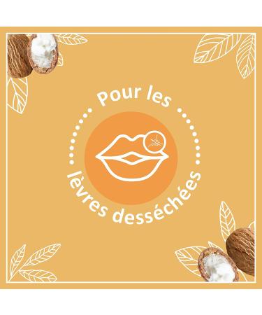 Le Petit Marseillais Lip Care Stick - Nourishing Dry Lips - Best International Shipping - Buy Online on GoSupps.com