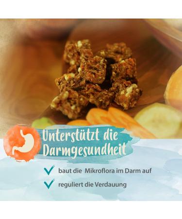 Ida Plus Probiotic Snack for Dogs - Intestinal Renovation & Digestive Support - 440g Prebiotic Formula for Healthy Gut Flora - Buy Online on GoSupps.com