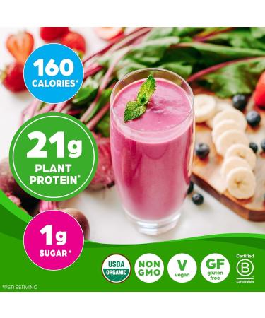 Orgain Organic Vegan Protein + 50 Superfoods Powder Bundle - Creamy Chocolate Fudge & Vanilla Bean 21g Plant Based Protein 2.02 lb Each - Buy Online on GoSupps.com