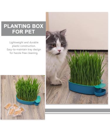 Buy Buguuyo 3 Series Cat Grass Box with Catnip - Perfect Plastic Plant Planters for Pets - Buy Online on GoSupps.com