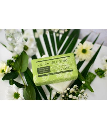 Buy The English Soap Company Take Care 2% Tea Tree Soap Bar - Luxury Moisturising & Soothing 190g for Hands & Body - International Shipping Available - Buy Online on GoSupps.com