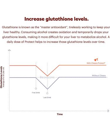 Cheers Protect Liver Supplement | L-Cysteine + DHM Formula | Boost Glutathione | 30 Doses | Milk Thistle, B-Vitamins, Ginger - Buy Online on GoSupps.com