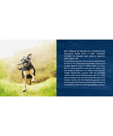 BRIT Premium by Nature Dog Junior M 3 kg - Buy Online on GoSupps.com