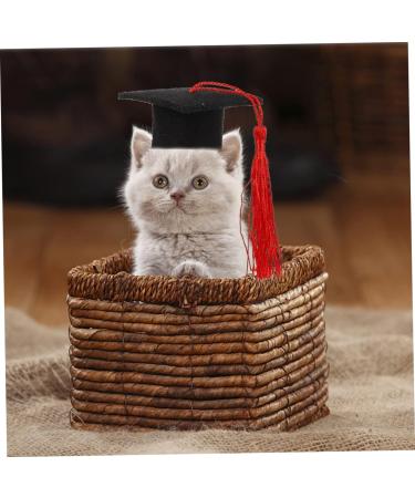 Beavorty 2-Part Elastic Doctor Cap Hat Set for Dogs - Stylish Dog Clothing & Headband for Men - Party & Costume Accessory - Red 5.5x3.5cm - Buy Online on GoSupps.com