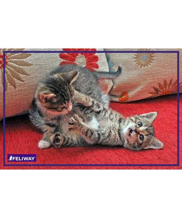 FELIWAY Friends Diffuser Refill 3-Pack (FELIWAY MultiCat) - Use with FELIWAY Cat Diffusers - Helps Reduce Fighting Tension and Conflicts Between Cats in The Home (90 Day Supply FELIWAY Refill D894) - Buy Online on GoSupps.com