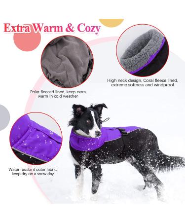 IECOii Extra Warm Reflective Adjustable Dog Jacket - Purple | Fleece Turtleneck Winter Coat for Small, Medium & Large Dogs - Buy Online on GoSupps.com