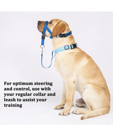 Barkeless Dog Harness - No Pulling Padded Snout for All Sizes | Training Included - Comfortable & Safe Walking in Blue - Buy Online on GoSupps.com