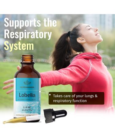 HERBAMAMA Organic Lobelia Tincture - Alcohol-Free Vegan Liquid Drops - 2 fl oz Supplement - Buy Online on GoSupps.com