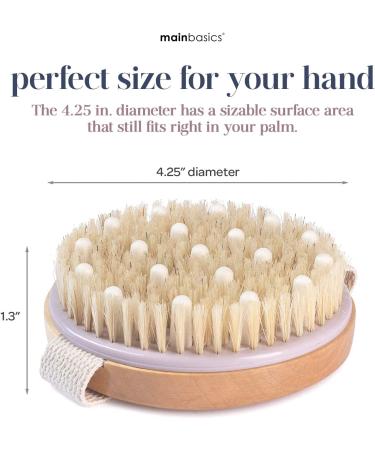MainBasics Dry Body Brush - Exfoliating Body Scrubber with Boar Bristles for Skin Exfoliation, Circulation Boost, Cellulite Treatment, and Lymphatic Drainage - Buy Online on GoSupps.com