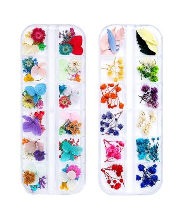 iFancer 108 Pcs Dried Flowers for Resin Nail Art 62 Colors 3D Dry Flowers for Nails 2 Boxes Small Tiny Dried Flowers for Nail Art Little Pressed Real Natural Flower Nail Art Design Decoration Supplies 2 Boxes 108pcs