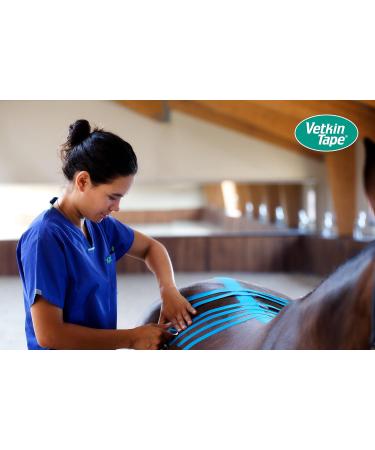 Vetkin Vetkintape Kinesiology Tape for Animals - 3cm x 5m | Stronger Blue Kinesiotape for Horses & Dogs | Latex-Free & T V-Certified - Buy Online on GoSupps.com