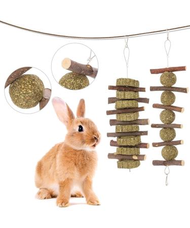tiopeia 2 Pack Bunny Chew Toys for Teeth Molar Rabbit Toys Hamster Chew Toys Sticks Pet Chew Toy for Rabbits Chinchillas Hamsters Chewing or Playing - Buy Online on GoSupps.com