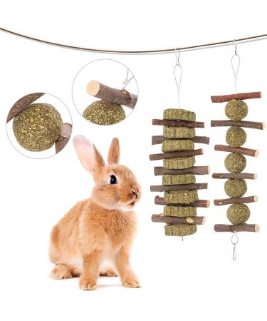 tiopeia 2 Pack Bunny Chew Toys for Teeth Molar Rabbit Toys Hamster Chew Toys Sticks Pet Chew Toy for Rabbits Chinchillas Hamsters Chewing or Playing - Buy Online on GoSupps.com