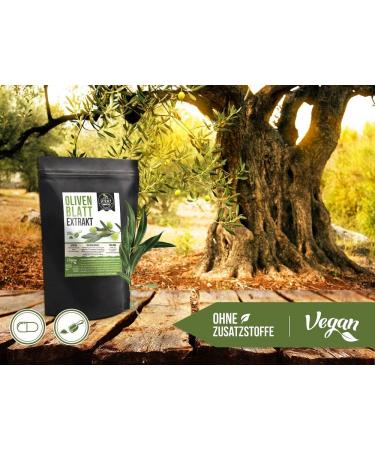 Buy Olive Leaf Extract Powder 100g | Pure Vegan & Additive-Free | High Dose & Lab Tested | Naturrein Germany - Buy Online on GoSupps.com