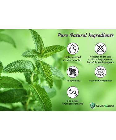 SilverGuard SilverAll Enhanced Hydrogen Peroxide Cleaner + Active Silver | All Purpose Cleaner with Long-Lasting Protective Silver Shield | Food Grade Hydrogen Peroxide 3 Percent | Peppermint 1 Pack Peppermint 16 Fl Oz (Pa - Buy Online on GoSupps.com