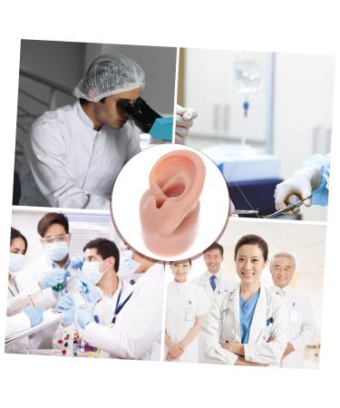 Angoily Human Ear Acupuncture Model - 1pc Silicone Display Ear Simulator for Massage & Learning | 6.5x3.5cm - Buy Online on GoSupps.com