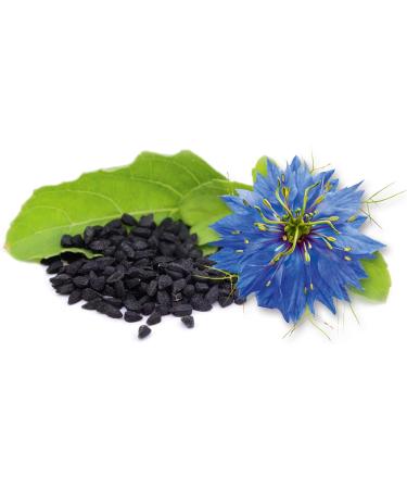 Premium Black Cumin Capsules - 1000mg Cold Pressed Oil with Vitamin E - 400 Count - High Dose Black Seed Oil Capsules for Optimal Health - Buy Online on GoSupps.com