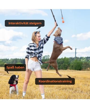 Pick for Life Irritant Dog Toys - Professional Interactive Training Set with 3 Durable Ropes & Replacement | Perfect for All Dog Sizes - Buy Online on GoSupps.com