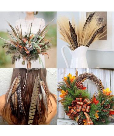 Flying Feathers Natural Pheasant Feathers 4 Style 15-20cm 12pcs for DIY Craft and Party Decor FF03 - Buy Online on GoSupps.com