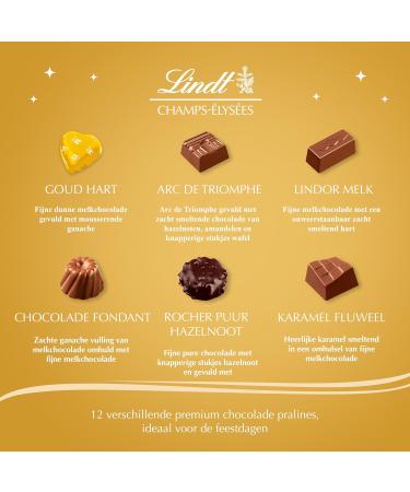 Lindt - Bo te CHAMPS- LYS ES dition Or - Assortiment de Chocolats au Lait Noirs et Blancs - Pralin s Croustillants et Onctueux - Id al pour No l 468g (Lot de 2) - Buy Online on GoSupps.com