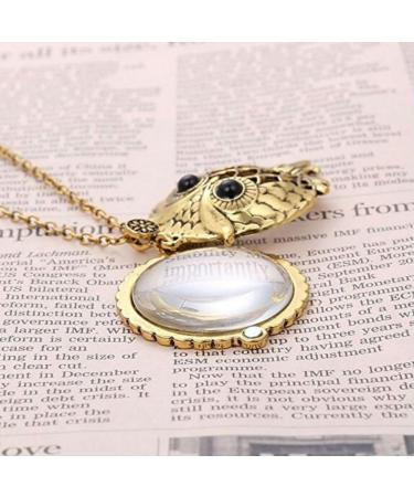 AKOAK 5X Portable Vintage Magnifying Glass Pendant Necklace for Library Reading Fine Print Zooming Increase Vision Jewelry and Gift (Owl) - Buy Online on GoSupps.com