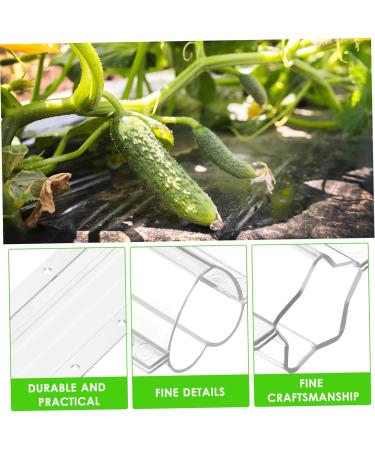 4pcs Shaped Growth Mold Fruit Molds Cucumber Shaping Heart Fruit Growth Mold Pumpkin Molds for Cucumber Molds for Garden Cookie Decorating Tools Cucumbers Plastic Shaper Star Shape - Buy Online on GoSupps.com