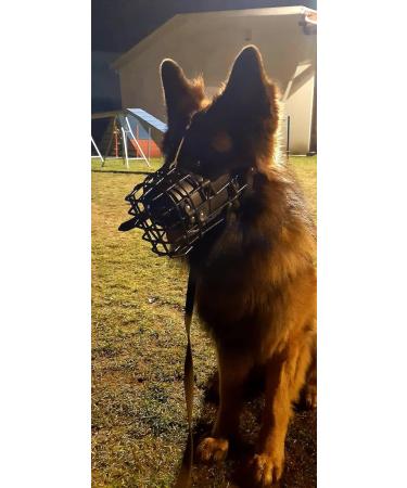 Dingo Gear Rubberized Metal Muzzle for Medium Dogs - Comfortable & Durable Solution for German Shepherds - Ideal for Long Walks | S03041 - Buy Online on GoSupps.com