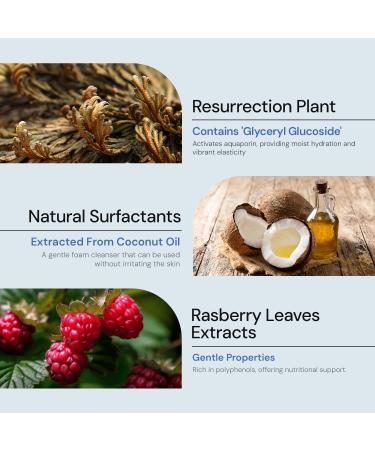 A MAR DA 24/7 Revival Foam Cleanser 120ml Low-pH Face Wash for Sensitive Skin with Resurrection Plant Hyaluronic Complex & Coconut-Derived Surfactants - Buy Online on GoSupps.com