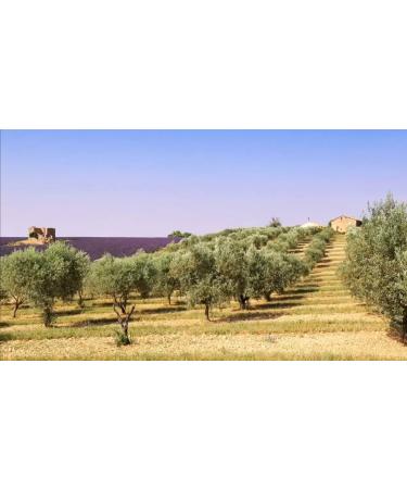 olio extravergine di oliva biologico - Buy Online on GoSupps.com