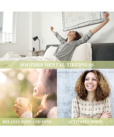 MAYJAM 30ML Vanilla Essential Oil and 100ML Lily of The Valley Fragrance Oil - Buy Online on GoSupps.com