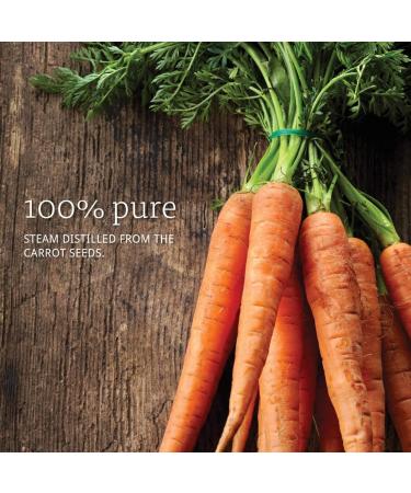 Now Foods Carrot Seed Oil 1 fl oz â€“ 100% Pure Essential Oil for Skin & Hair - Buy Online on GoSupps.com