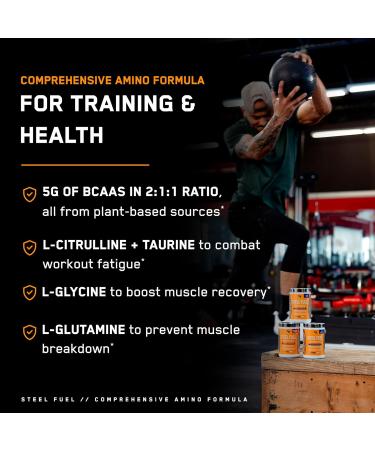 Buy SteelFit Steel Fuel BCAA + Electrolyte Powder | Sugar-Free 2:1:1 Amino Acids - Apple Pear | 30 Servings for Muscle Growth & Hydration - Buy Online on GoSupps.com