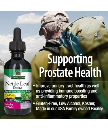 Nature's Answer Nettle Leaf with Organic Alcohol 2-Fluid Ounces | Herbal Supplement | Promotes Immune Heath | Non-GMO Kosher Gluten-Free - Buy Online on GoSupps.com