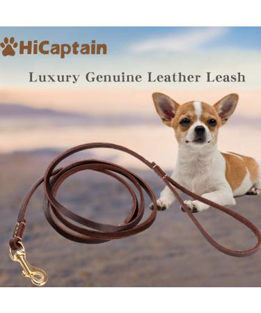 HiCaptain Thin Leather Leash for Small Dogs and Cats Up to 15-30 lb Regular 1/3 inch Wide, 6 Feet