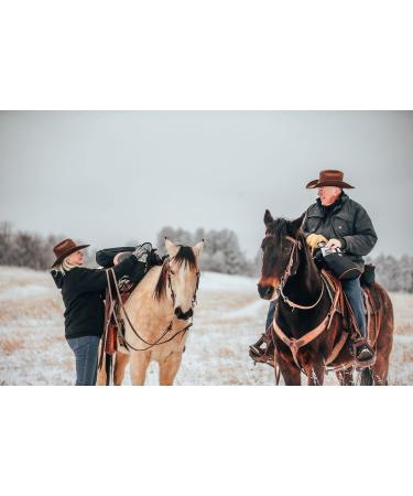 Trailmax Horn Saddlebag & Pommel Pocket Combo - Durable Brown Saddlebags for Western & Endurance Riding - Buy Online on GoSupps.com