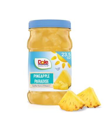 Dole Pineapple Chunks in 100% Fruit Juice, 23.5 Oz Resealable Jar 1.46 Pound (Pack of 1)