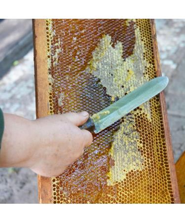 L'Abella Mel - Miel de Lavande 100% Naturel | Miel d'abeille pur - R colt la main sur la Costa Blanca Espagne - Sans gluten- 2000G - Buy Online on GoSupps.com