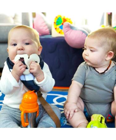 Thinkbaby Stainless Steel Thinkster Bottle - Orange 9oz | Durable & Safe Drinking for Kids - Buy Online on GoSupps.com