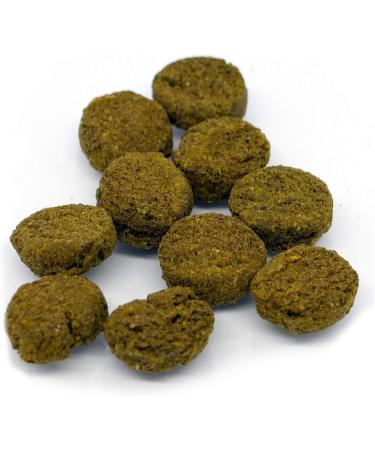 River Aqua Food Ground Tabs 1000ml - Buy Online on GoSupps.com