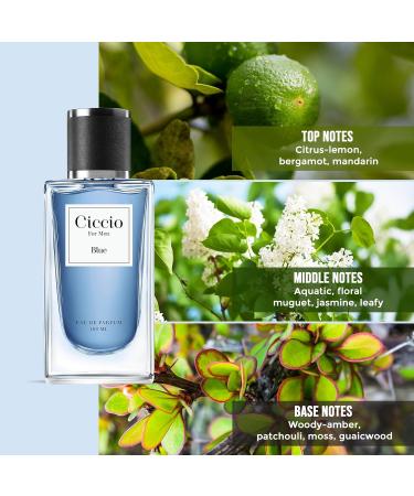 Ciccio_Blue Eau De Perfume For Men With Citrus Lemon Bergamot & Mandarin Premium Long Lasting Woody Aquatic Liquid Fragrance Scent Perfect Perfume For Summer 100ml - Buy Online on GoSupps.com