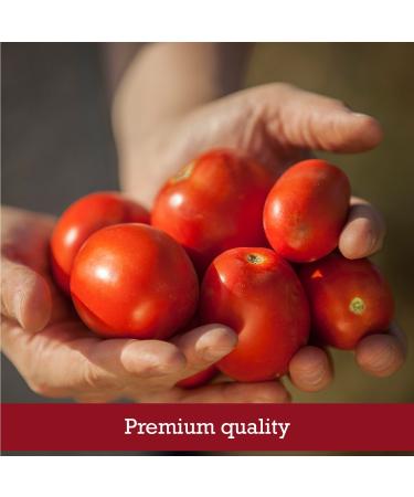 Muir Glen Organic Whole Peeled Tomatoes 14.5 oz - Pack of 12 | Buy Online at Our Store - Buy Online on GoSupps.com