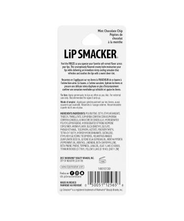 Lip Smacker Ice Freeze Balm Ultra-Hydrating & Cooling Lip Balm with Refreshing Flavor Sheer Tint & Minty Sensation Soft-Served Creamy Formula Moisturizing & Nourishing Lip Care-Mint Chocolate Chip - Buy Online on GoSupps.com