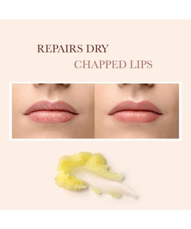 Lavender & Frankincense Lip Balm - Moisturizing Natural Hydrating Formula for Dry Lips - Buy Online on GoSupps.com