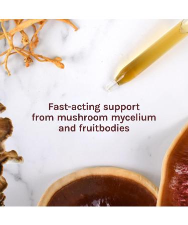 Host Defense Stamets 7 Extract Mushroom Supplement 2 fl oz - Daily Immune Support with Lion's Mane and Reishi - Pack of 1 - Buy Online on GoSupps.com