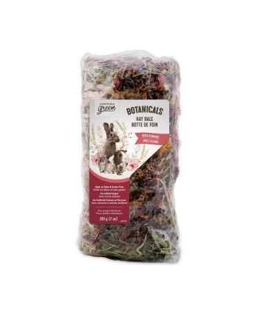 Living World Green Botanicals Hay Bale with Flowers 200 g (7 oz)