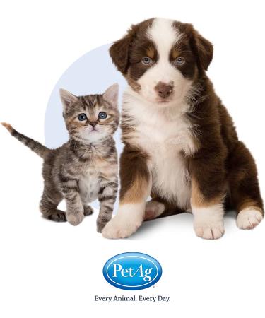 PetAg Petlac Milk Powder for Kittens - 10.5 oz - Buy Online on GoSupps.com
