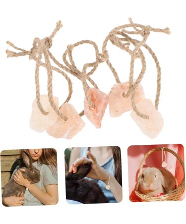 ORFOFE 5pcs Salt Lick for Animals Salt Brick Salt Lickinging Block Salt for Animals Licking Pet Salt Block - Buy Online on GoSupps.com