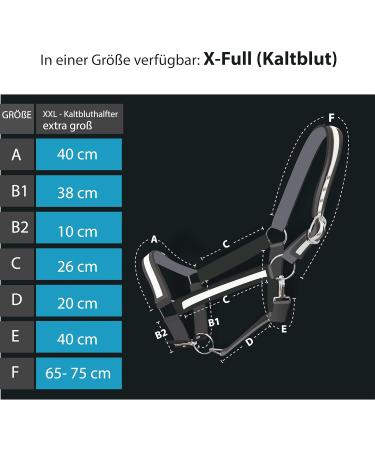 Premium Cold Blood Horse Halter | Adjustable XXFull Stable Halter with 2 Chin Straps - Black & White - Buy Online on GoSupps.com